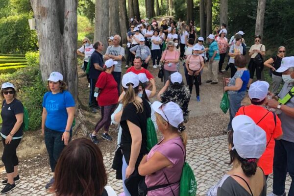 WhatsApp Image 2022-05-10 at 12.29.36