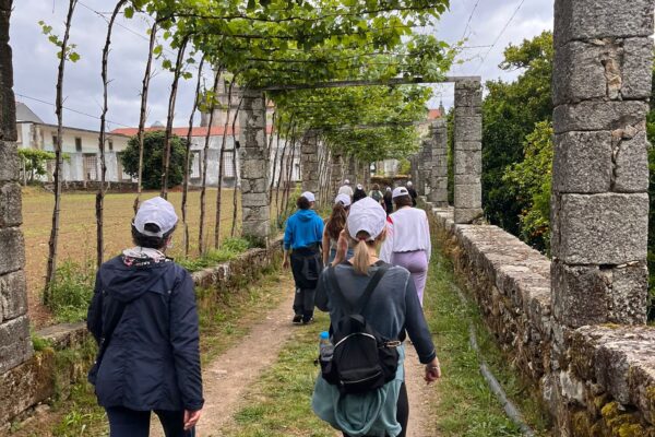 WhatsApp Image 2022-05-24 at 09.28.18