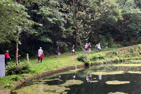 WhatsApp Image 2022-05-24 at 09.28.19