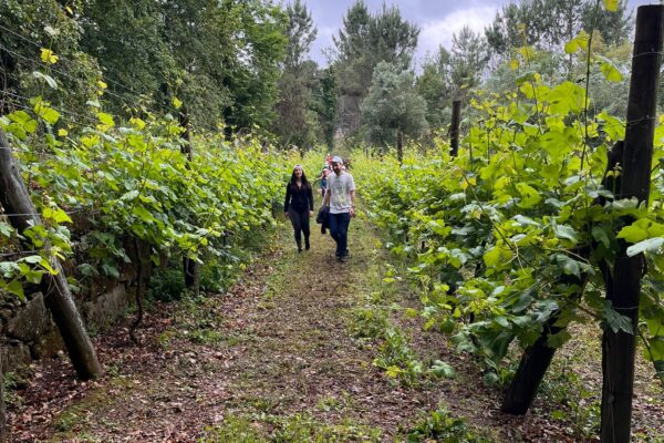 WhatsApp Image 2022-05-24 at 09.28.20