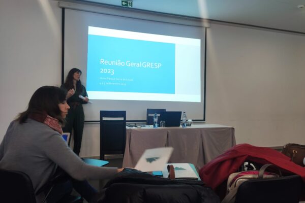 9d727cc1-bbb5-4d08-81a1-2ea062cd5dfa